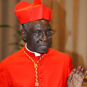 Eerie Silence After Cardinal Sarah’s Testimony